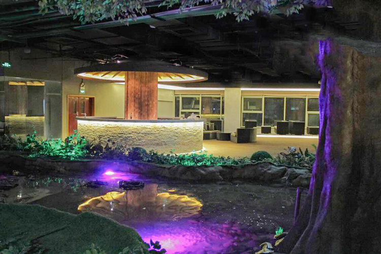 上海嘉定花園足浴假山假樹工程 上海嘉定花園足浴假山假樹工程