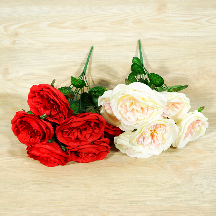 七頭大茶梅 七頭大茶梅