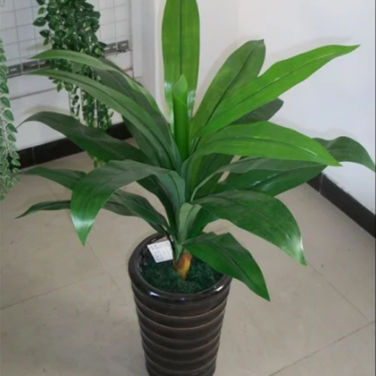 關(guān)于仿真植物的知識(shí)你知道多少？