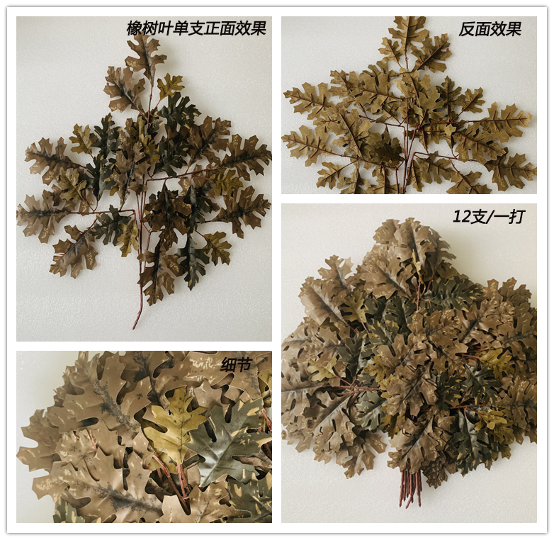 五叉假橡樹葉子 五叉假橡樹葉子