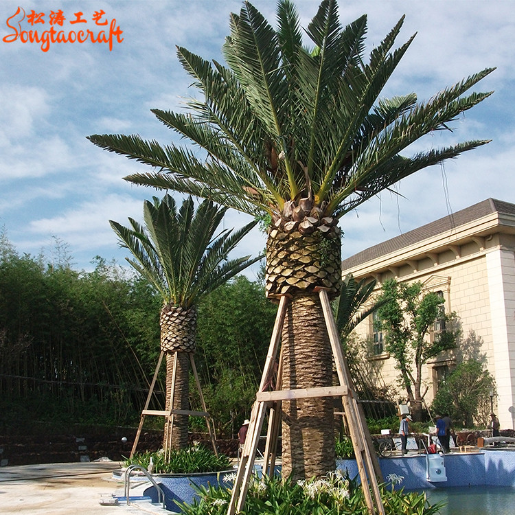 粗桿仿真中東海藻樹