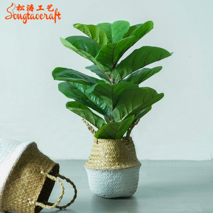 仿真琴葉榕盆景