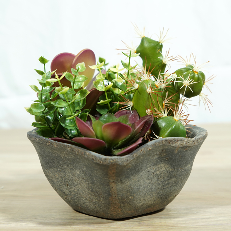 仿真多肉植物，未來裝飾市場的＂新寵＂