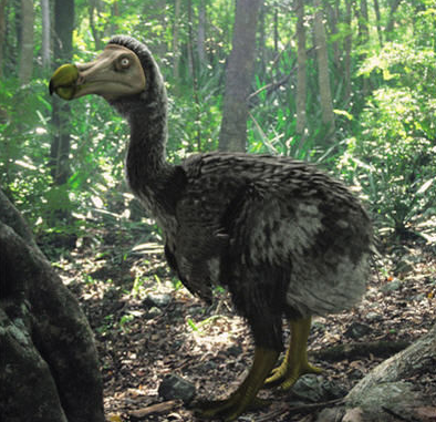 松濤工藝仿真動(dòng)物之渡渡鳥