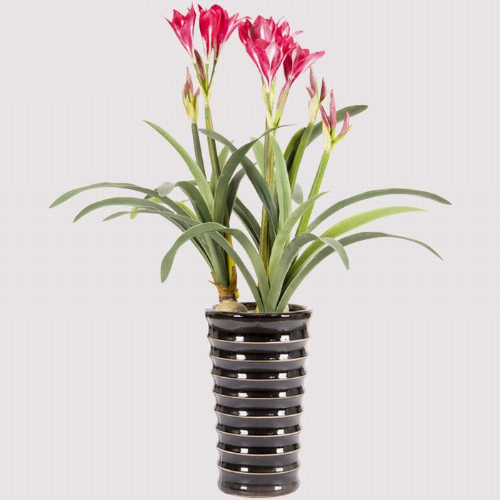 客廳放哪些仿真植物好