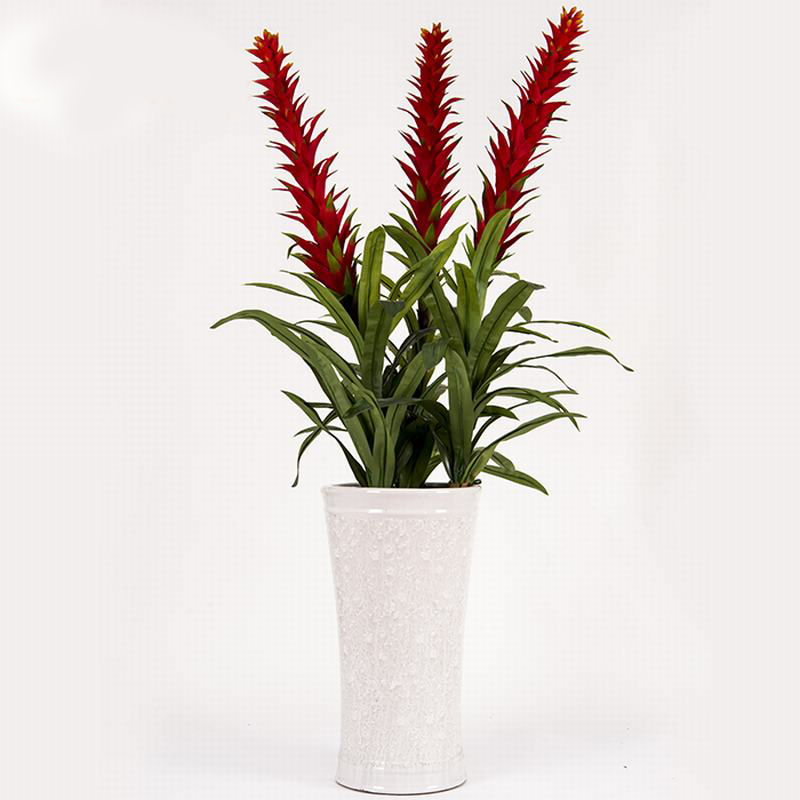 客廳放哪些仿真植物好