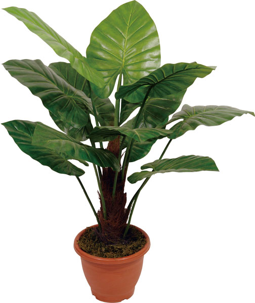 客廳放哪些仿真植物好