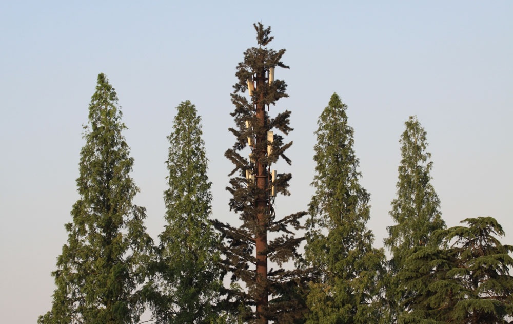 松濤工藝仿真樹，街景不一樣的藝術(shù)