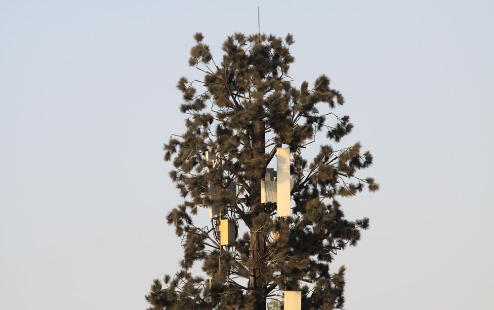 松濤工藝仿真樹，街景不一樣的藝術(shù)