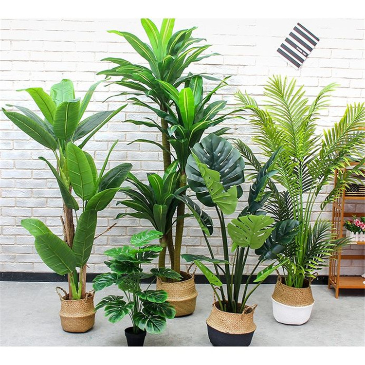 仿真植物綠色環(huán)保，備受人們青睞