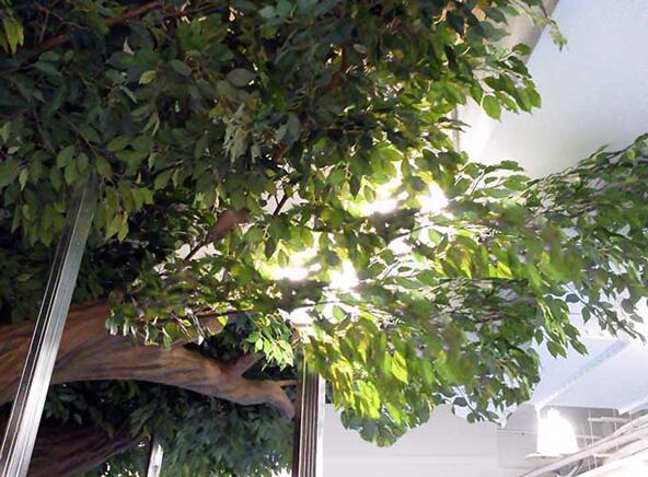 泡沫仿真樹安裝過(guò)程圖解