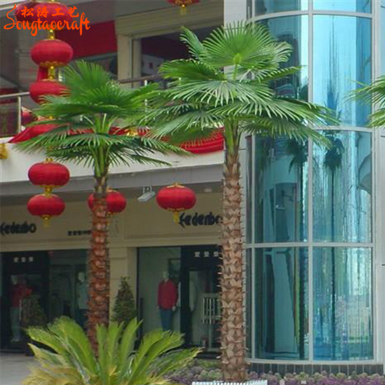 棕櫚樹(shù)，椰子樹(shù)，檳榔樹(shù)區(qū)別