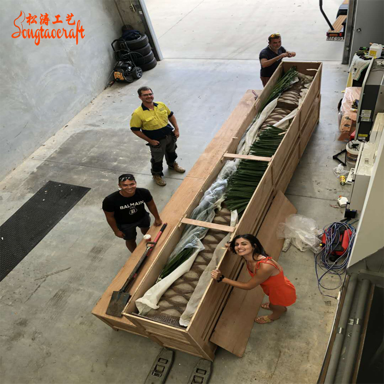 安裝仿真海藻樹的過程實在太簡單了