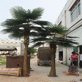 選購仿真棕櫚樹有什么小竅門呢？