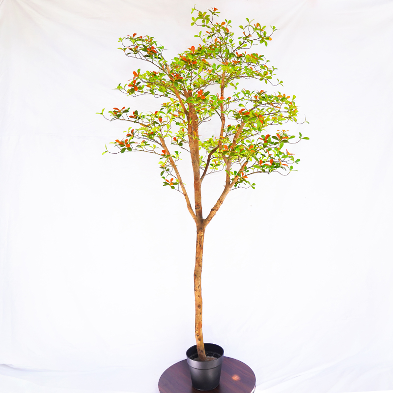 仿真海南春花樹