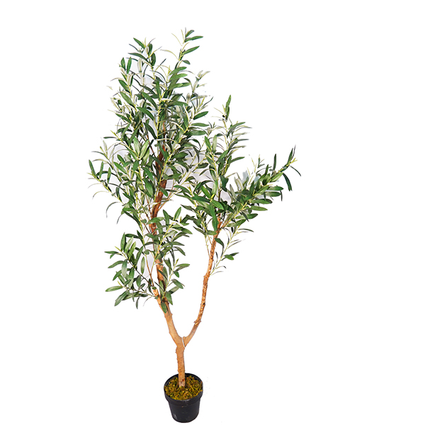 仿真橄欖樹